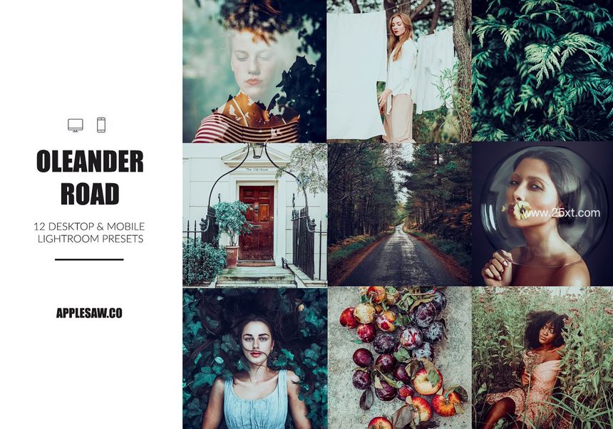 25xt-485784-The Wonderland Preset Bundle8.jpg