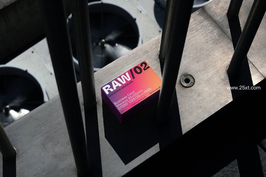 25xt-486010-Raw Branding Mockups  Batch 000023.jpg
