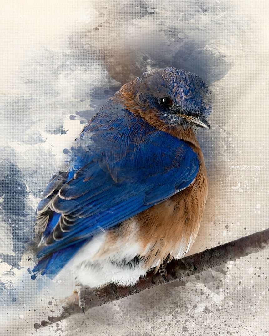 25xt-486061-Canvas Photo Watercolor Actions6.jpg