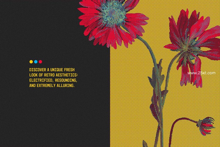 25xt-486161-Delusio Halftone Photoshop Effect6.jpg