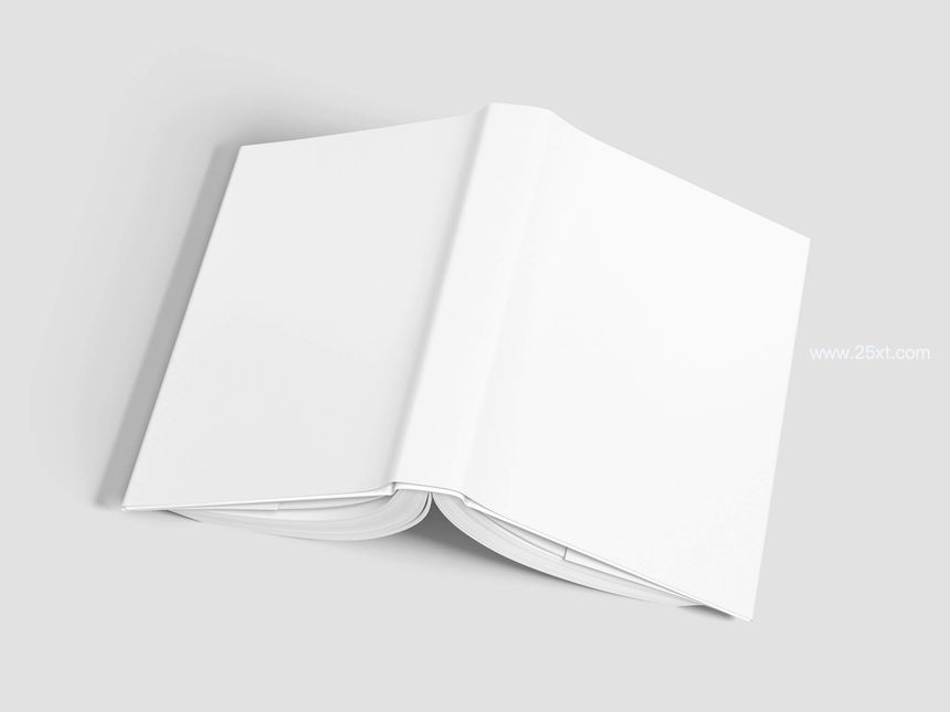 25xt-486210-Book Mockups9.jpg