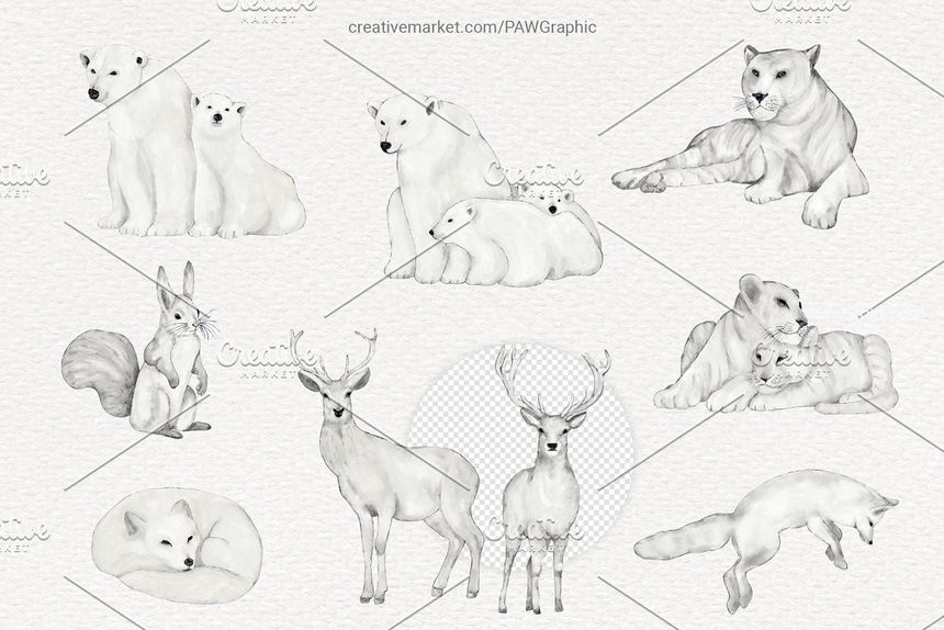 25xt-486217-Wild Animals Watercolor Clipart2.jpg