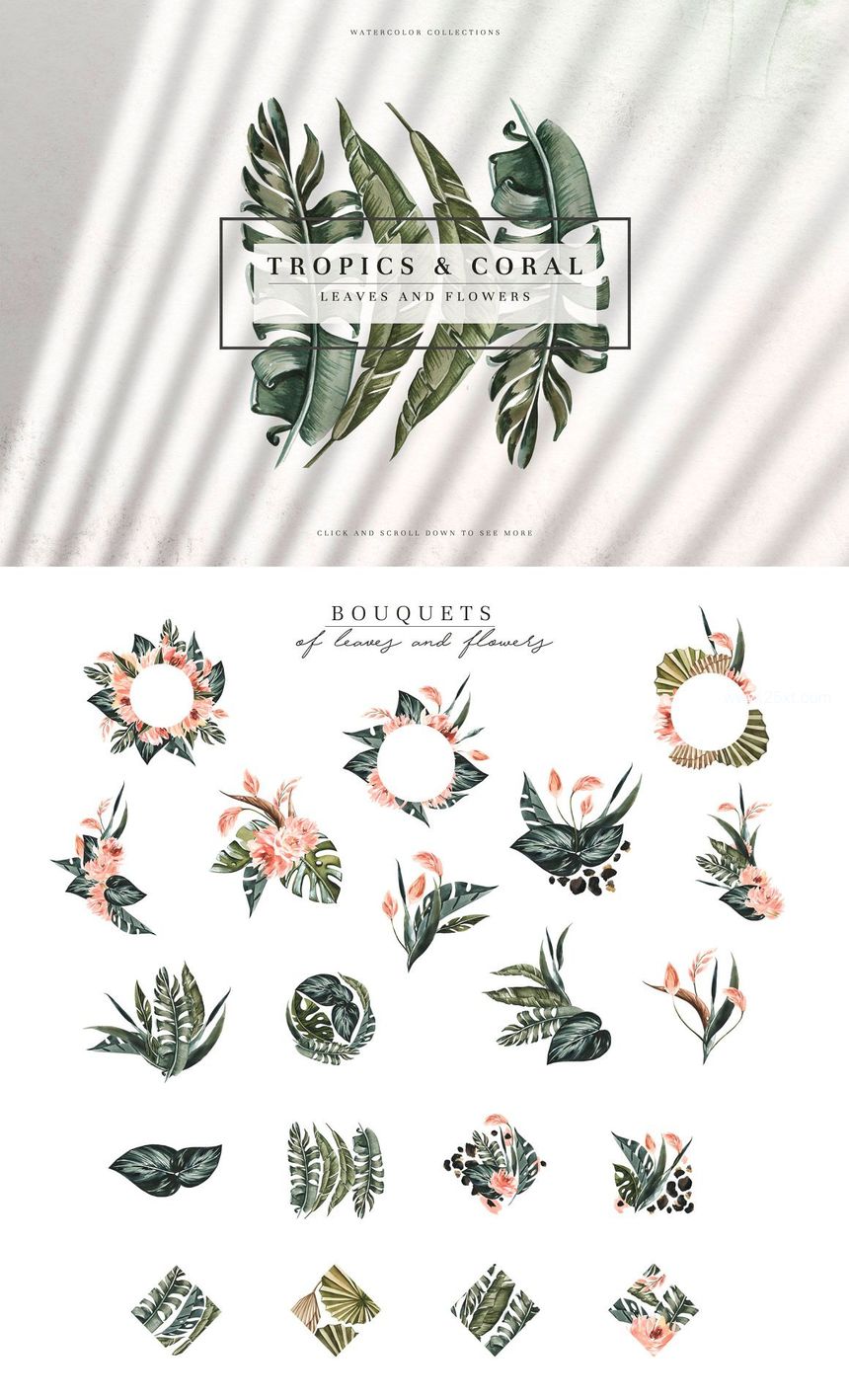 25xt-486416-Tropics & Coral Watercolor5.jpg