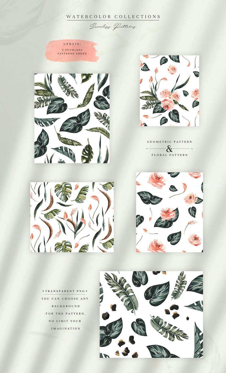 25xt-486416-Tropics & Coral Watercolor8.jpg