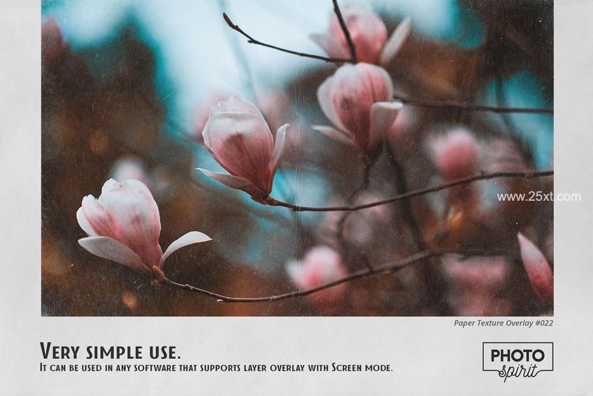25xt-486641-Paper Texture Effect Overlays6.jpg