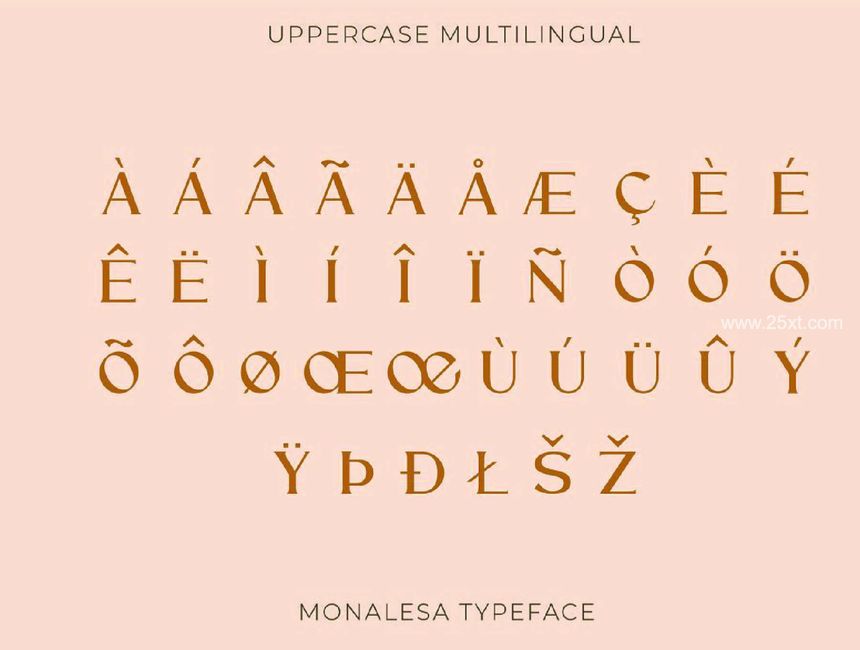 25xt-487643-Monalesa - New Vintage Typeface10.jpg
