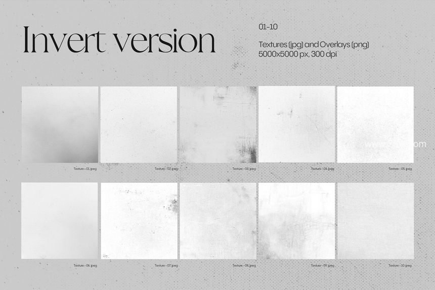 25xt-487680-RGB - 100+ Design Assets9.jpg