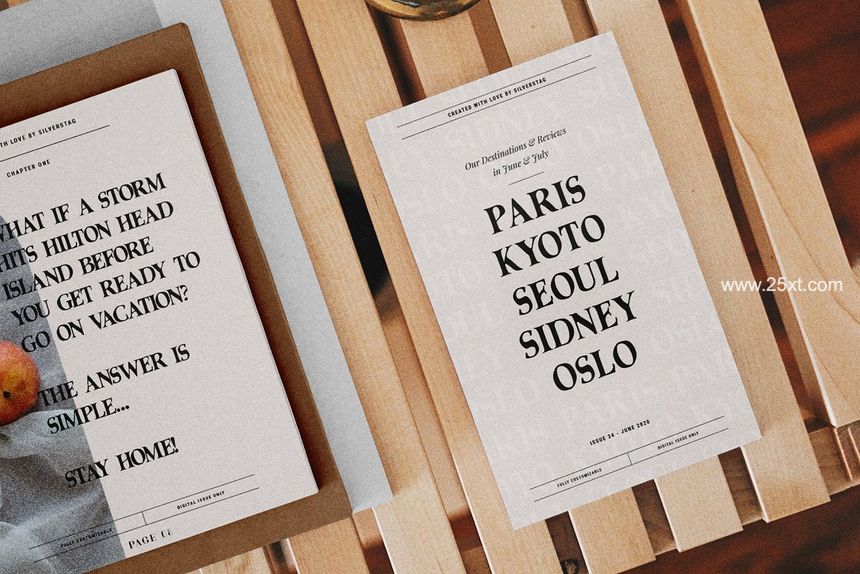 25xt-488204-Chic & Elegant Serif Font Bundle16.jpg
