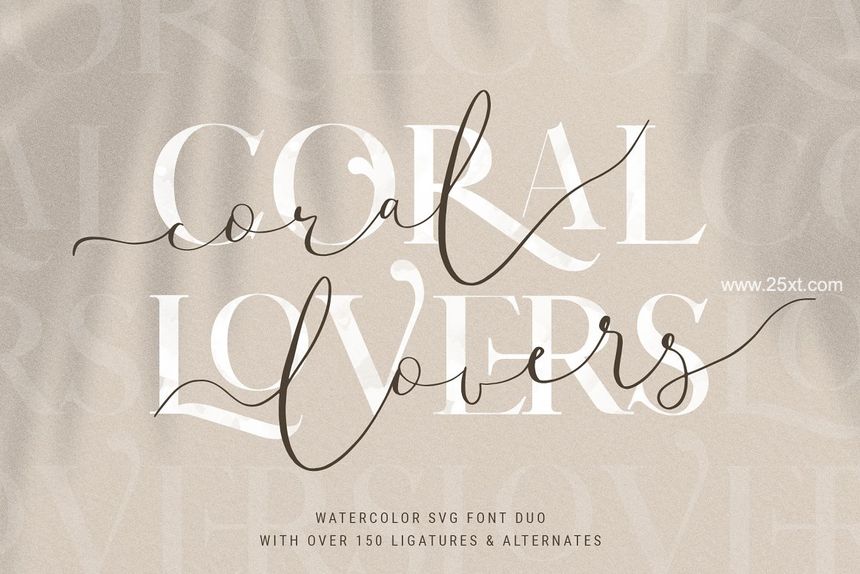 25xt-488204-Chic & Elegant Serif Font Bundle19.jpg