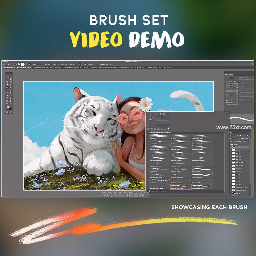 25xt-488390-Rossdraws Advanced Brush Set10.jpg