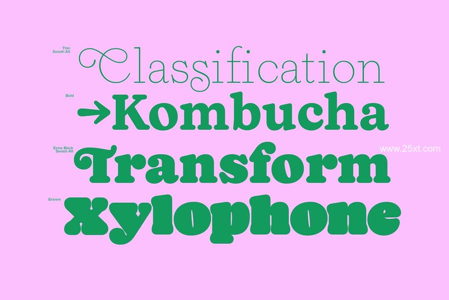 25xt-488492-Naiche Font Family8.jpg