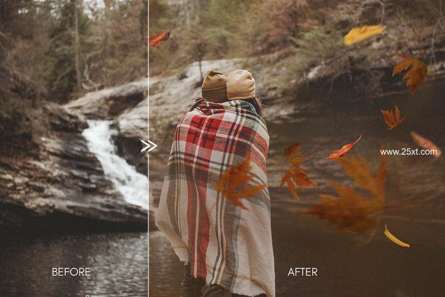 25xt-171566-70 Natural Falling Leaf Overlays5.jpg