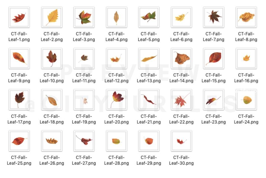 25xt-171566-70 Natural Falling Leaf Overlays9.jpg