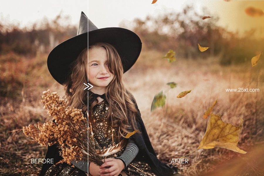 25xt-171566-70 Natural Falling Leaf Overlays4.jpg