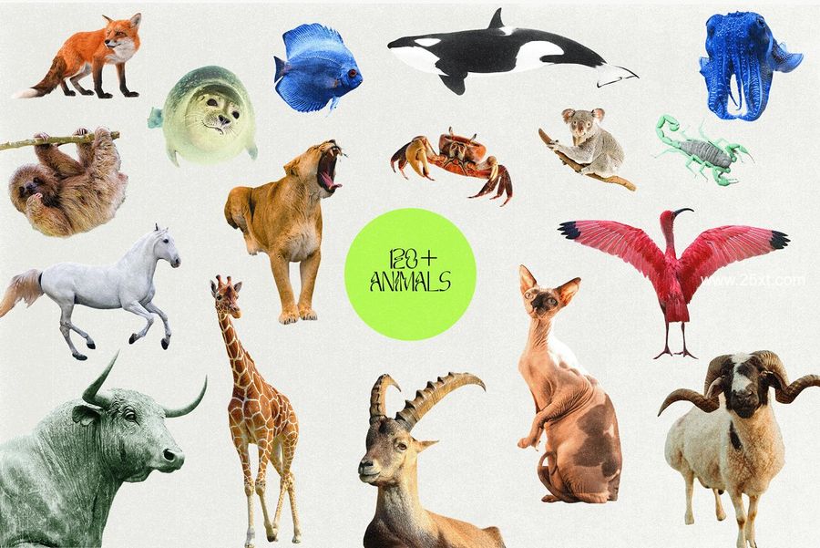 25xt-171569-Astrology Collage Creator4.jpg