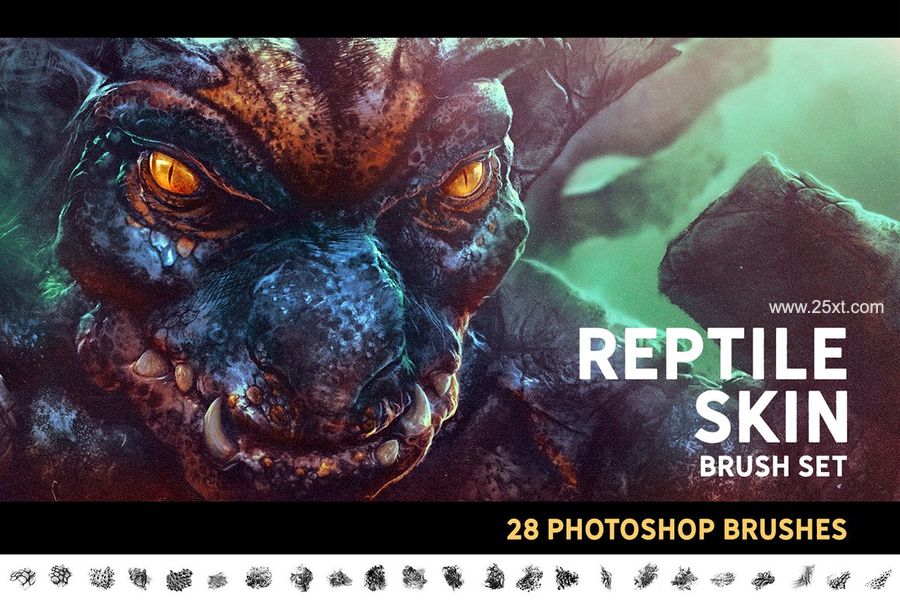 25xt-171571-Dragon bundle2.jpg