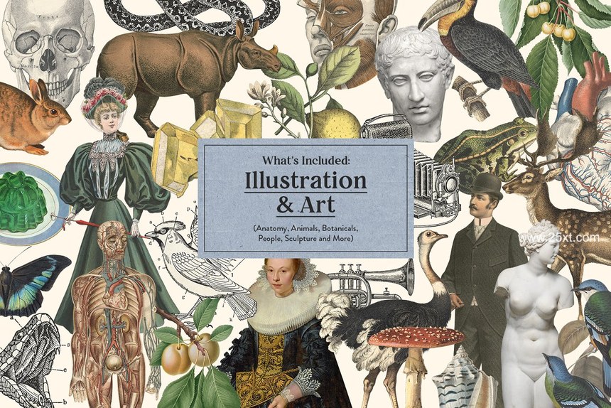 25xt-172387-Vintage Collage Creator 750+ Assets5.jpg
