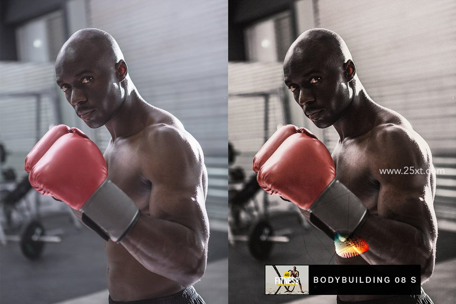 25xt-172504-500+ Lightroom Presets & LUTs Bundle3.jpg
