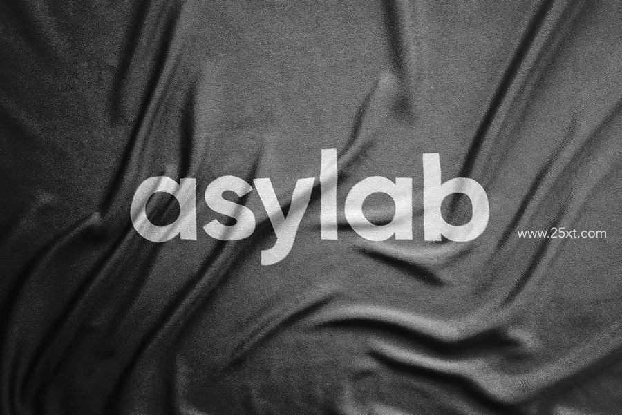 25xt-172551-6 Wrinkled Logo Mockups - PSD8.jpg