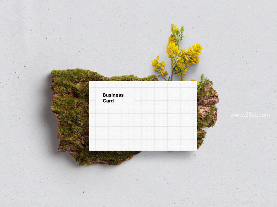25xt-172611-Business Card Mockups9.jpg