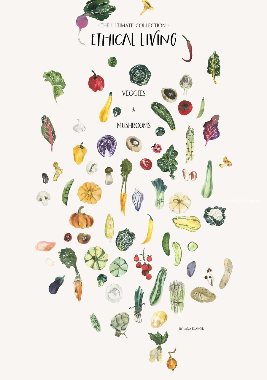 25xt-172687-ETHICAL LIVING vegan & eco lifestyle9.jpg