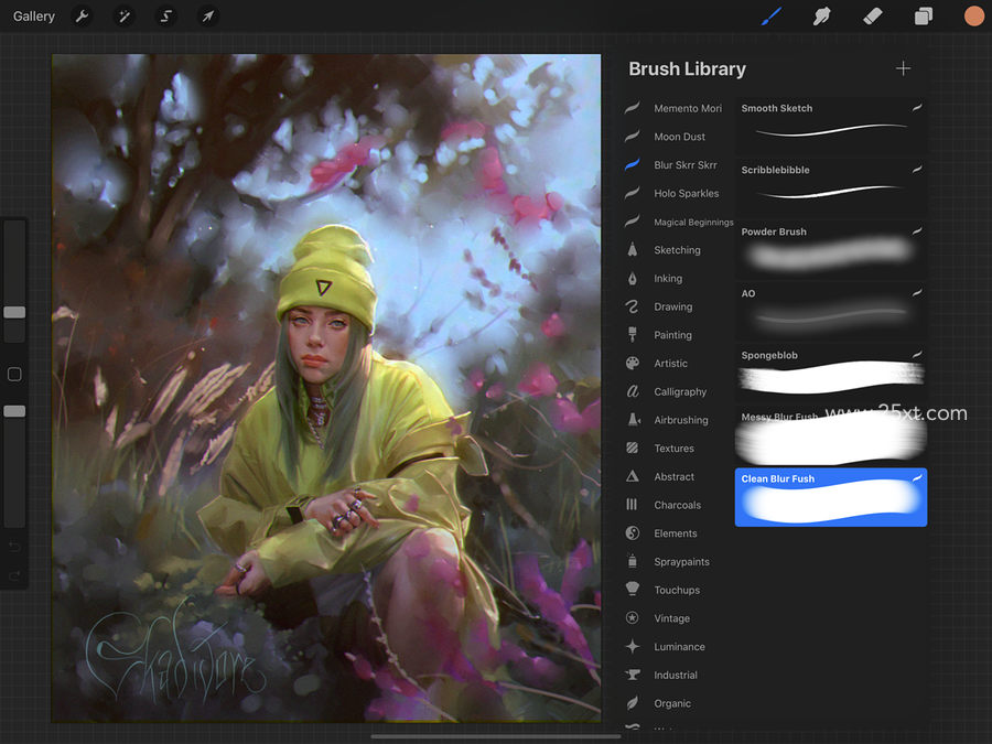 25xt-172703-Blur Brush Set10.jpg