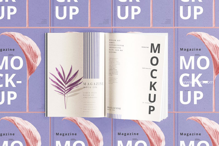 25xt-173009-Magazine Mockups13.jpg