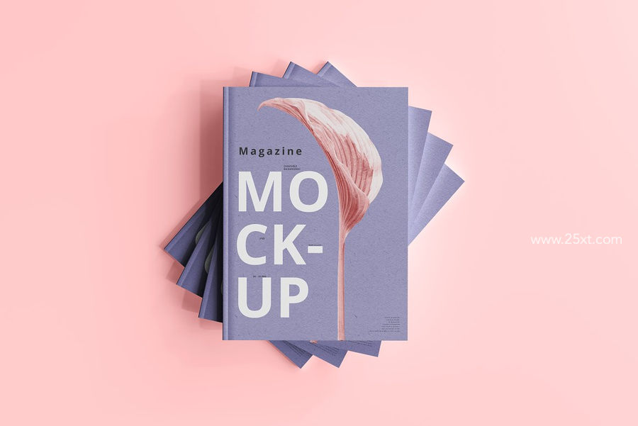 25xt-173009-Magazine Mockups9.jpg