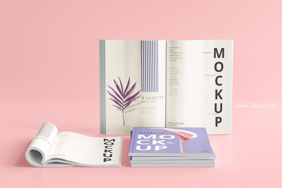 25xt-173009-Magazine Mockups14.jpg