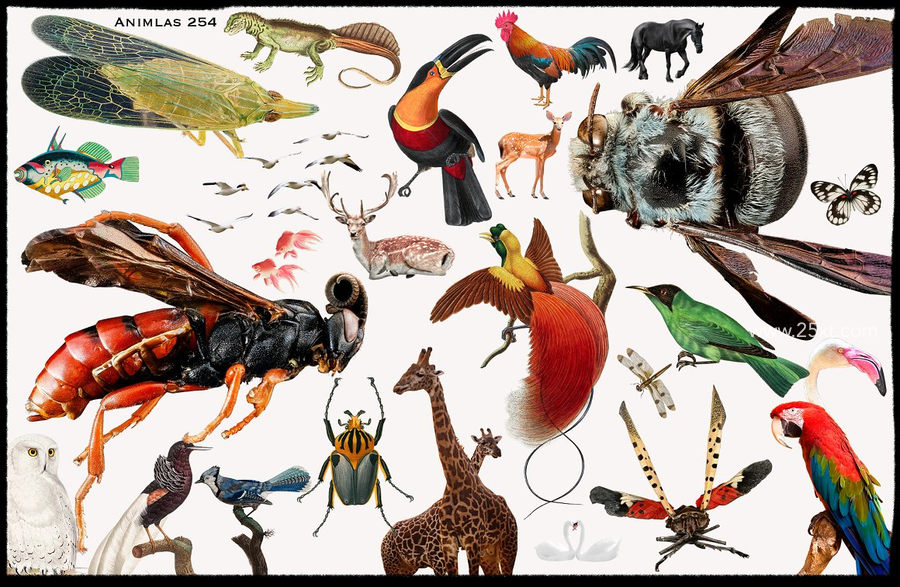 25xt-173044-1900+ Ultimate Collage Elements10.jpg