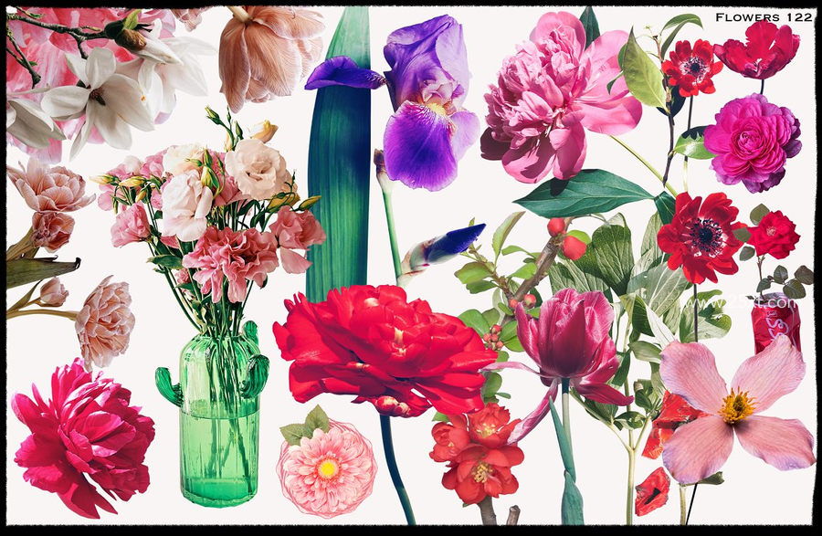25xt-173044-1900+ Ultimate Collage Elements9.jpg