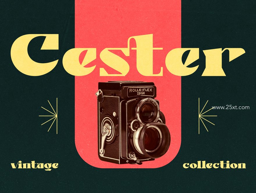 25xt-164252-Cagila - Display Typeface3.jpg