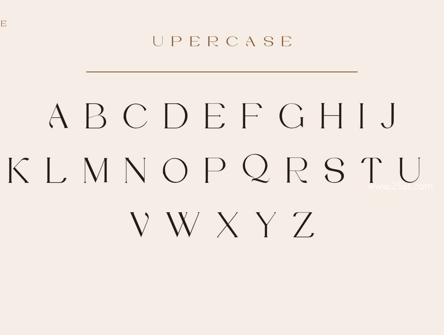 25xt-164356-Vilaka Modern Serif8.jpg