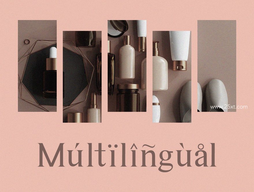 25xt-164626-Astina Serif7.jpg