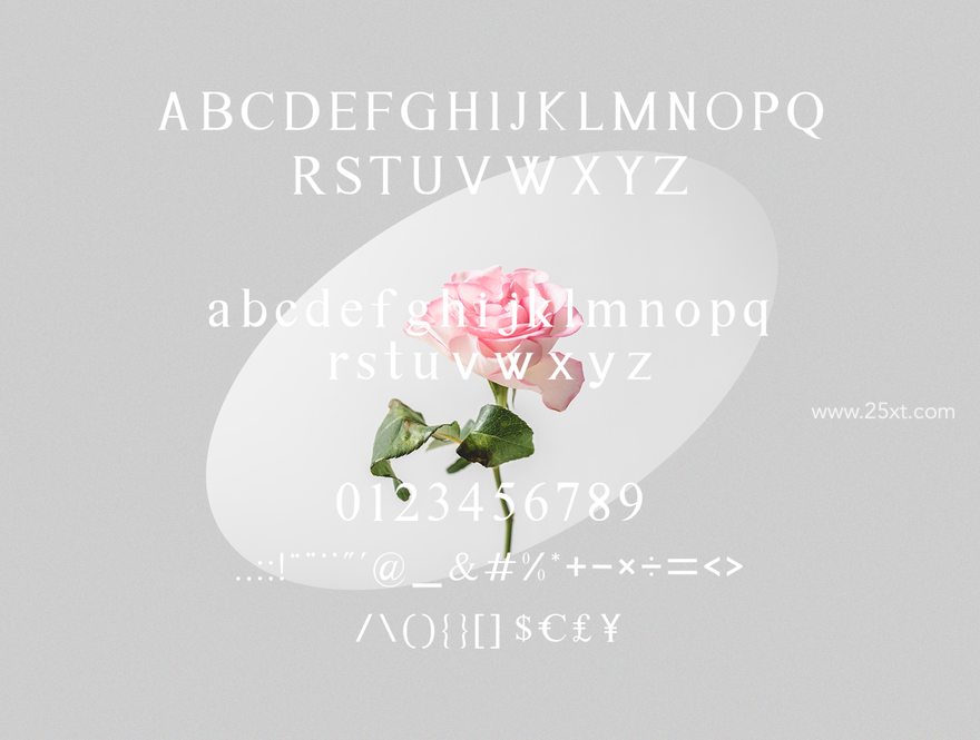 25xt-164626-Astina Serif9.jpg