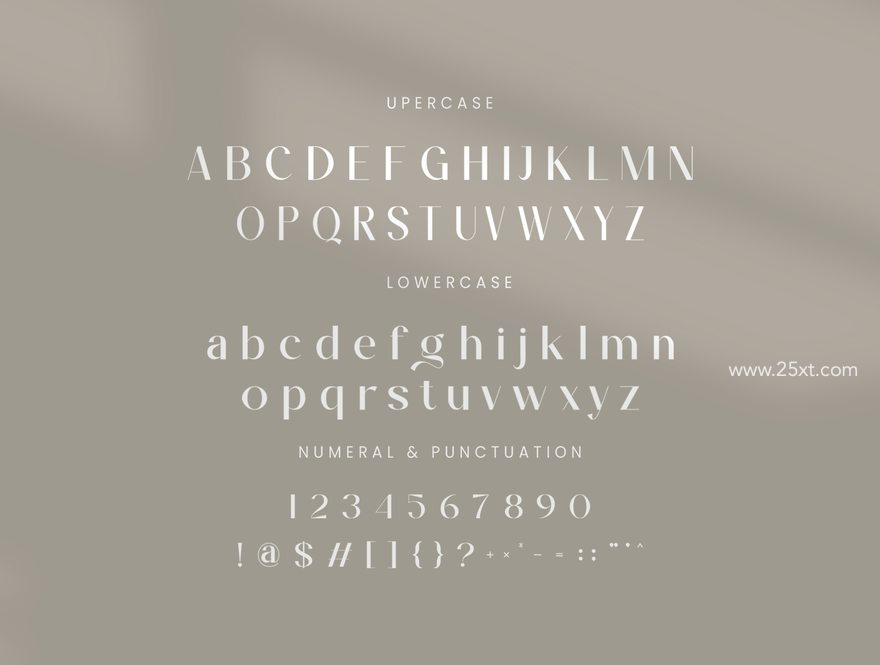 25xt-164811-Bagins Sans Serif9.jpg