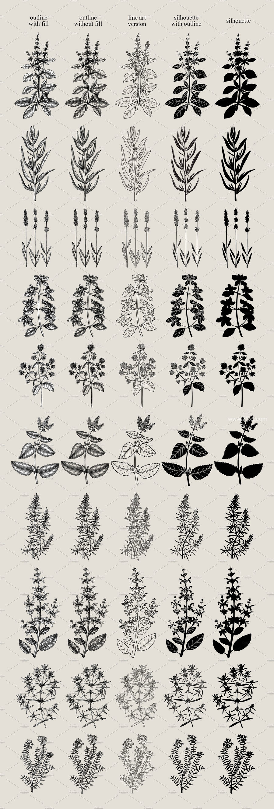 25xt-165206-Herbs of Provence. Floral collages7.jpg
