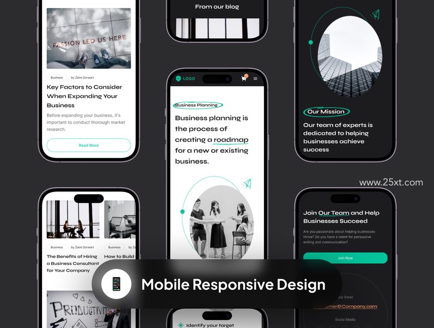 25xt-165385-CONSCA - Business Consulting Web Templates6.jpg