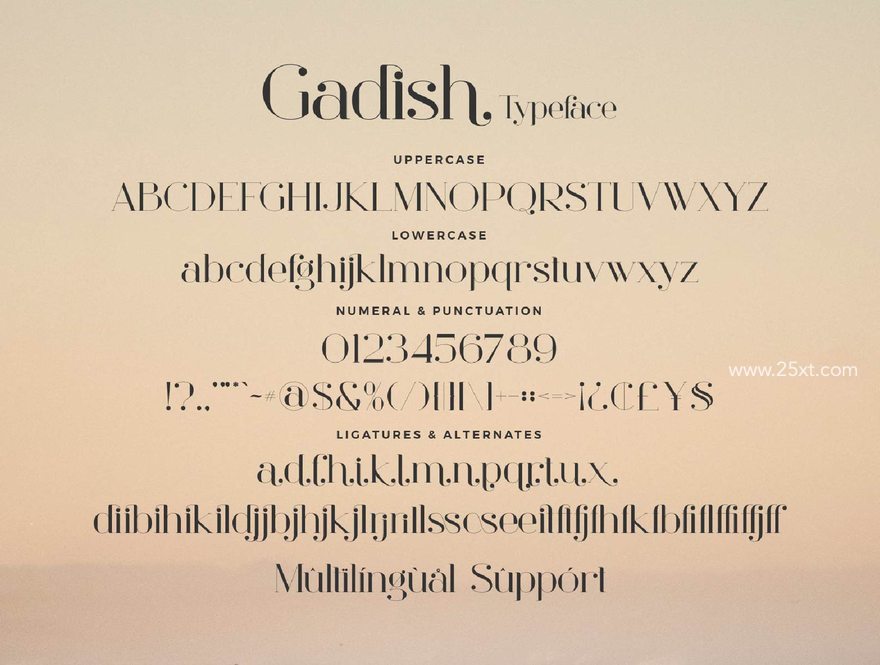 25xt-165395-Gadish7.jpg