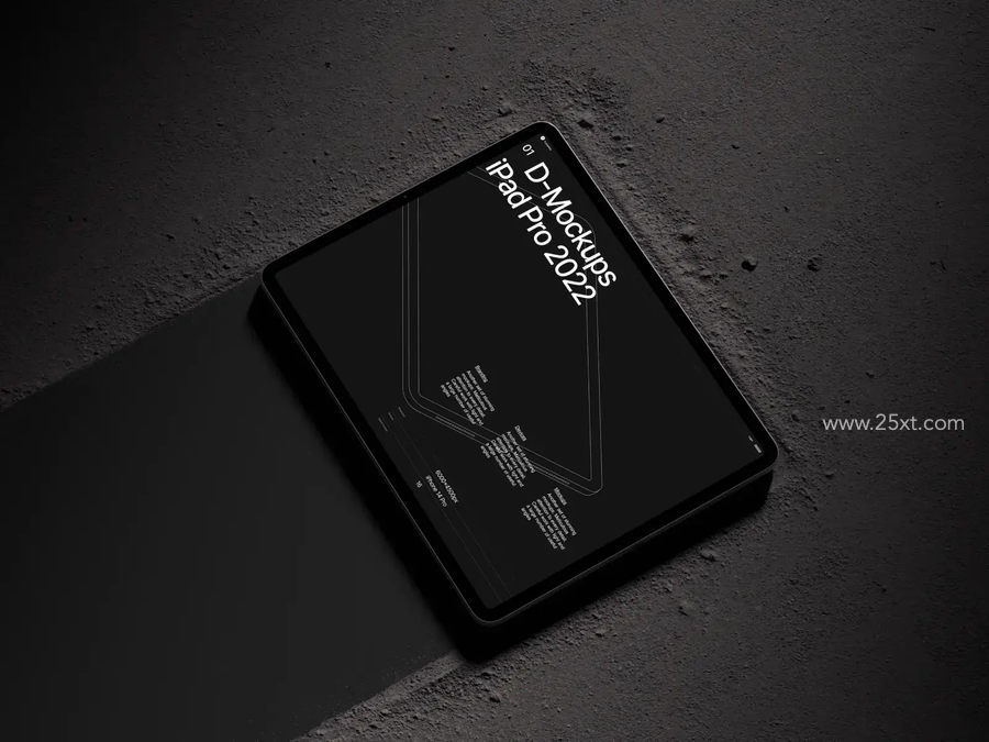 25xt-173170-D-Mockups iPad Pro6.jpg