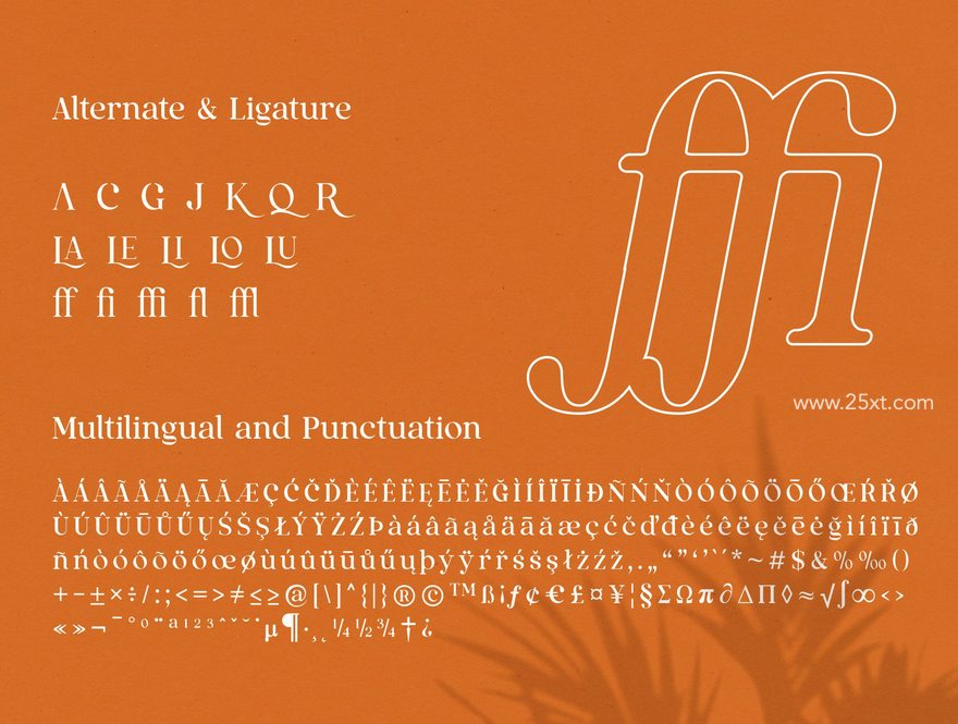 25xt-165718-Qualux Fonts Family10.jpg