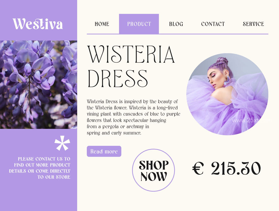 25xt-173198-Westiva Fonts Family10.jpg