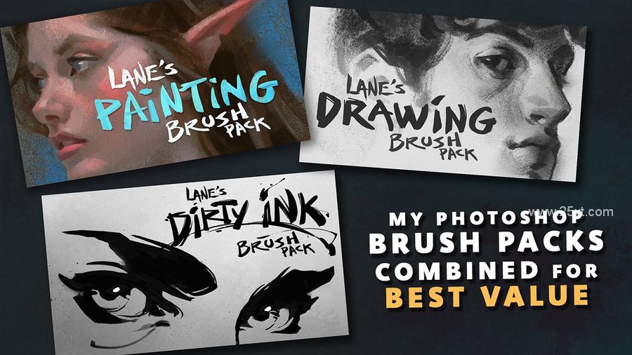 25xt-173441-Lane s Photoshop Master Pack (4).jpg