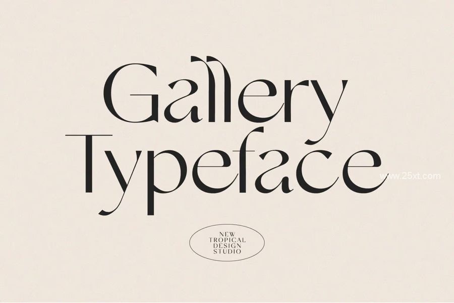 25xt-173682-The Modern Font Bundle Vol (6).jpg