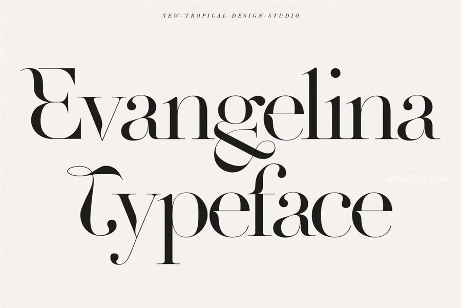 25xt-173682-The Modern Font Bundle Vol (31).jpg