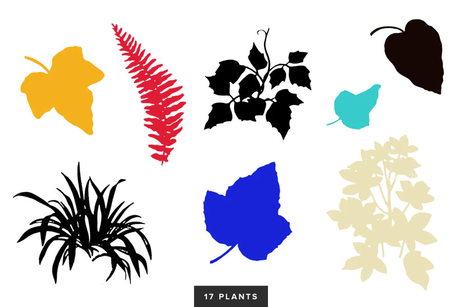 25xt-174601-Creative Collage Toolbox18.jpg