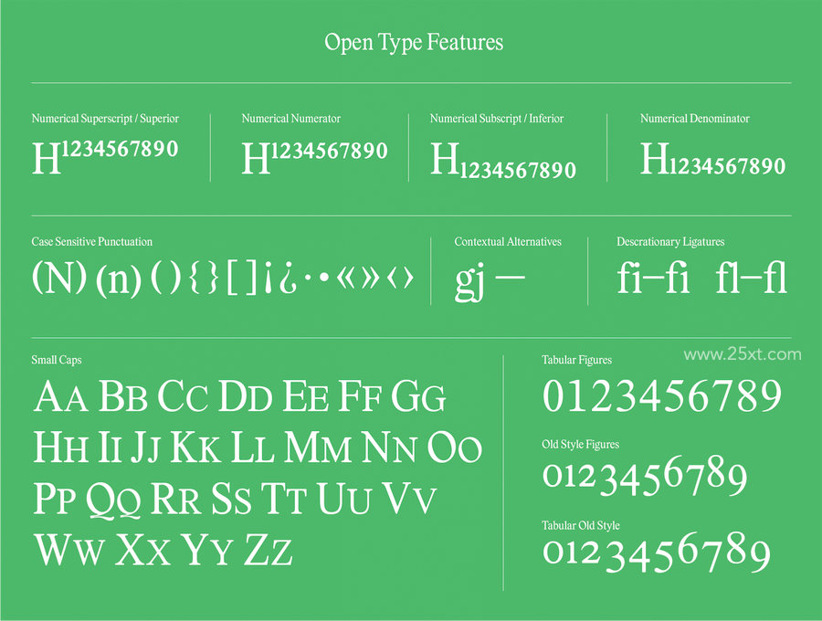 25xt-174973-Lastik 5 Font Family3.jpg