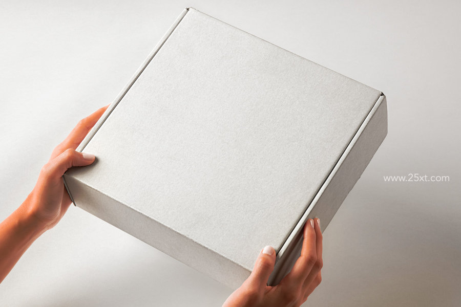 25xt-175141-Hand Holding Cardboard Box Psd Packaging Mockup2.jpg
