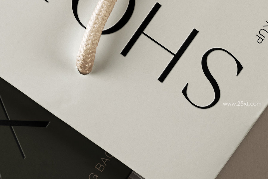 25xt-175146-Hand Holding Shopping Bag Psd Mockup3.jpg