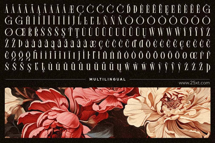 25xt-175354-chelion display serif 6.jpg